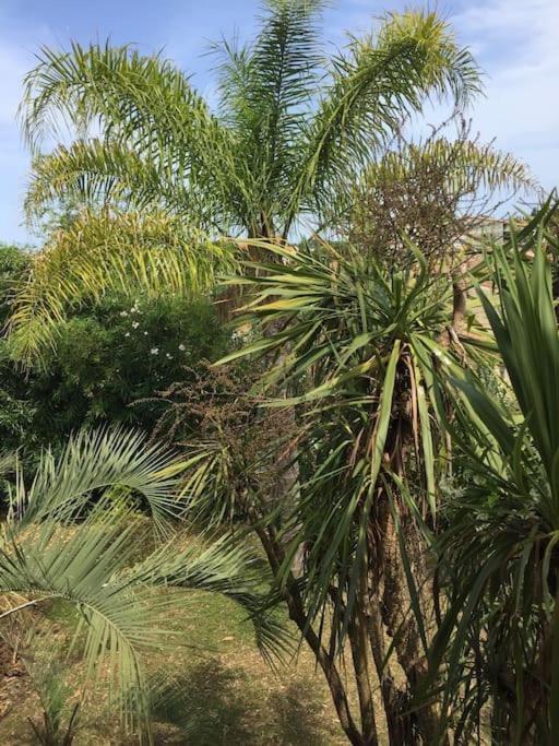 Mare E Monte , Jardin Mediterraneen Et Exotique. Ghisonaccia Kültér fotó
